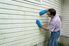 Best Siding Painting and Refinishing  in Wacousta, MI